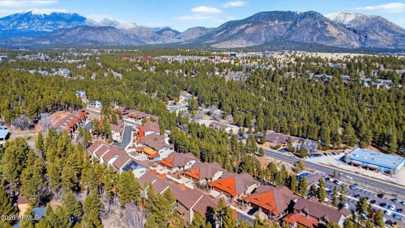 Luxury Townhome in the Flagstaff Pines