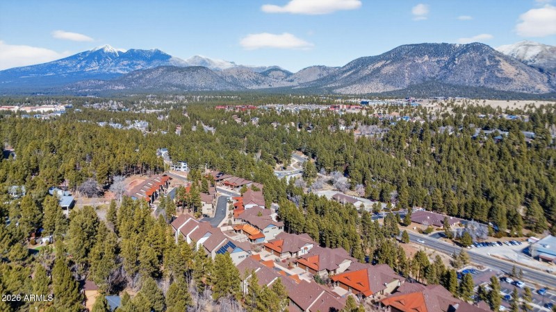 Luxury Townhome in the Flagstaff Pines