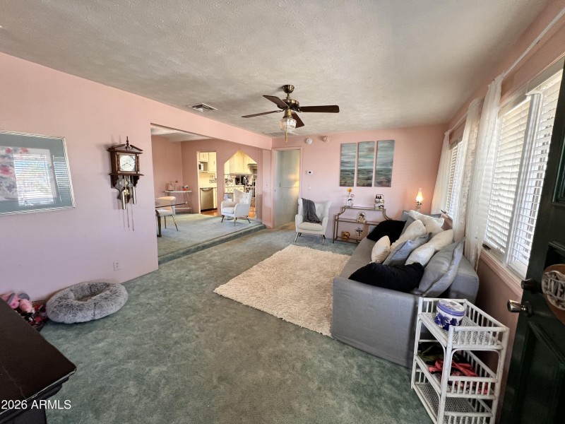 Living Room/Entrance