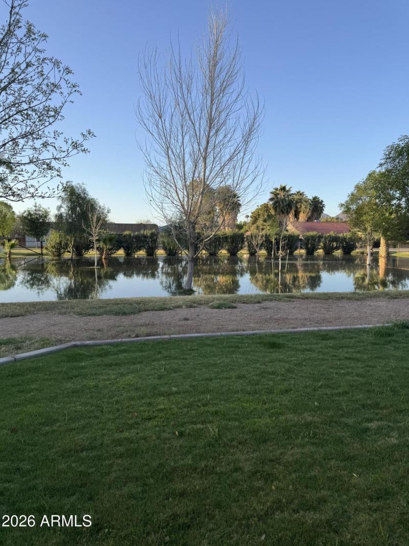 19312 E Via De Palmas