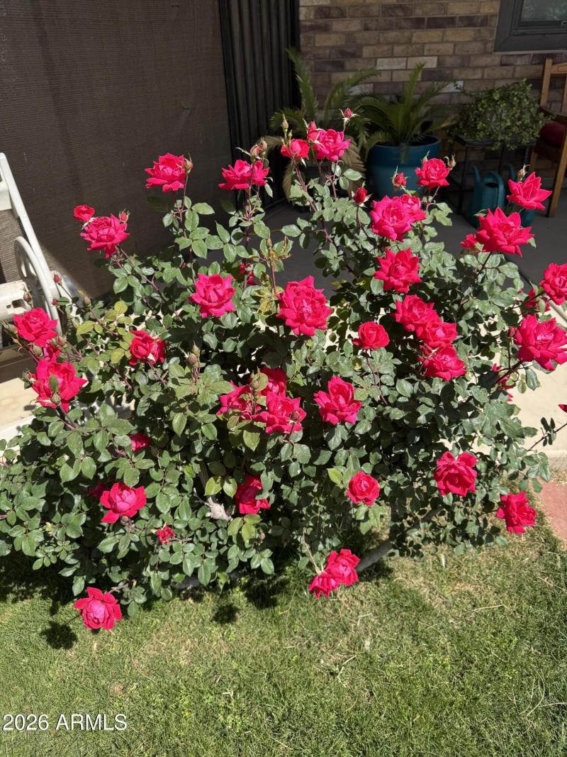 19312 E Via De Palmas