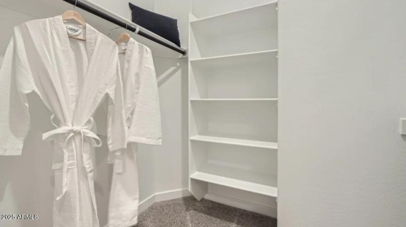 Owners Walk in Closet