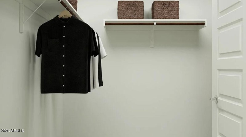 Owners Walk in Closet