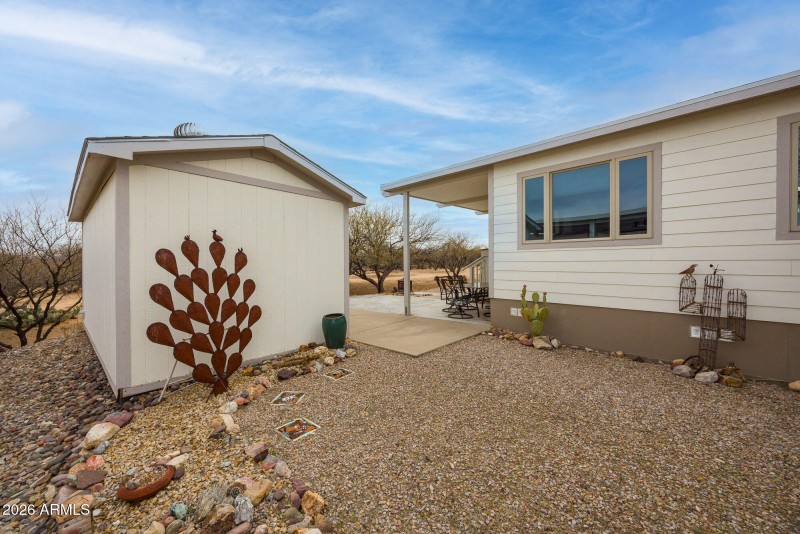 1030-barrelcactus39_mls-24