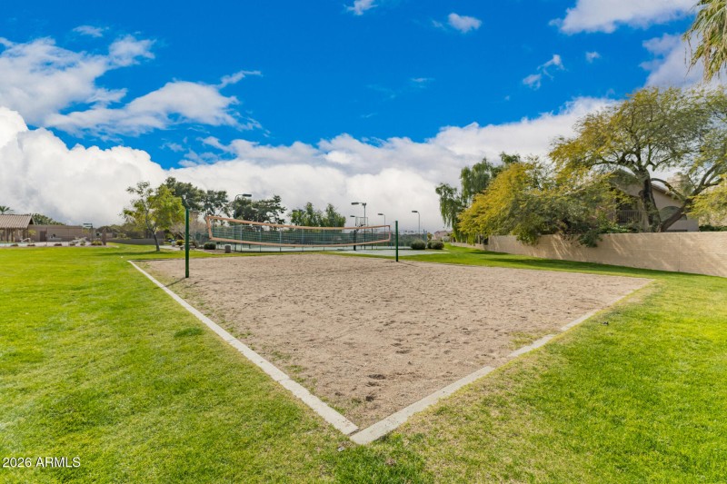 Community Volleyball