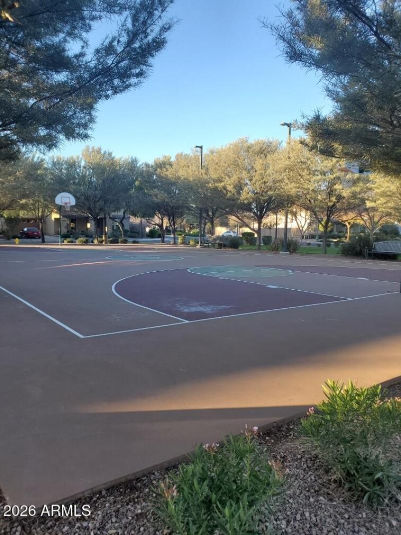Basketball court 2