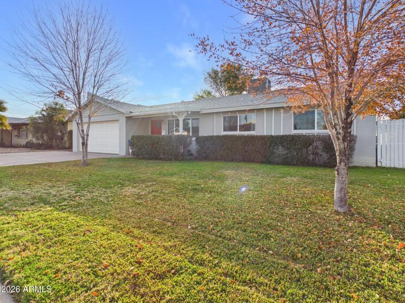 Perfect Arizona Morning Vibes