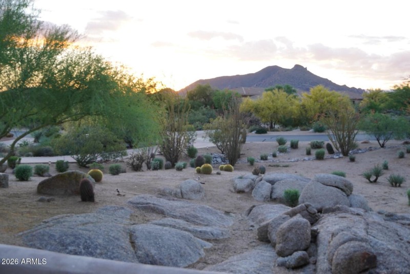 Large boulders, front yard