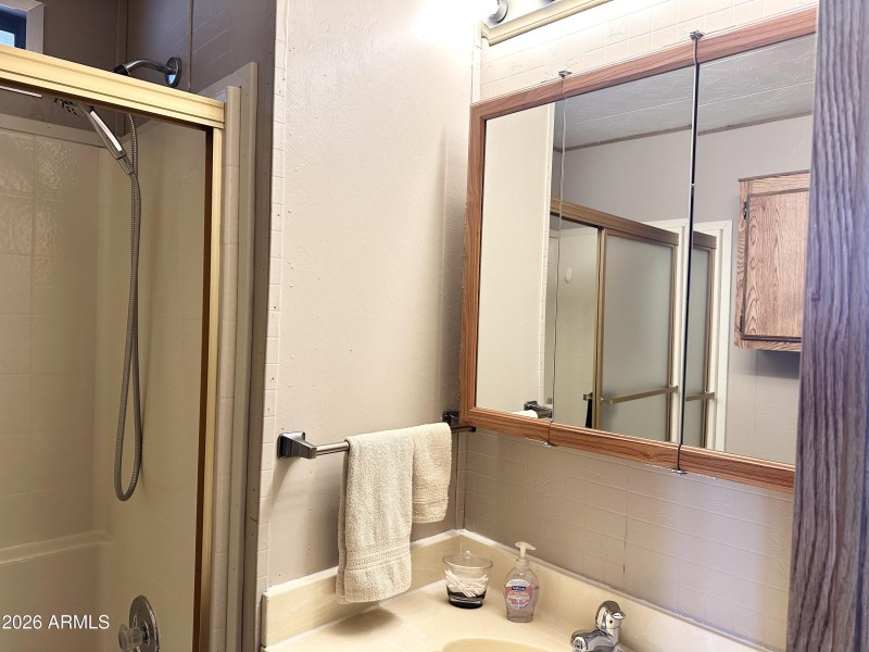 MAIN BATHROOM MIRROR
