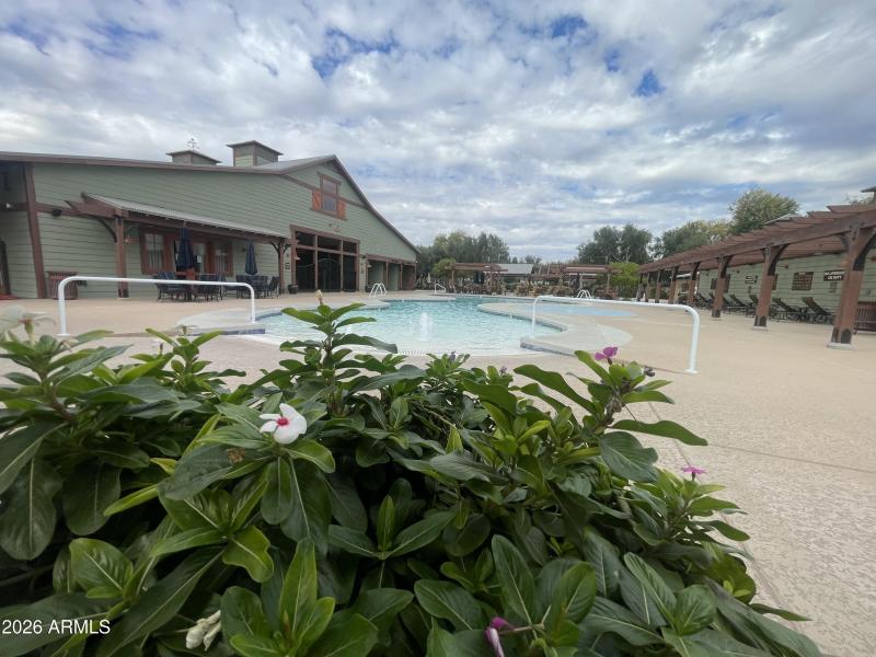 IMG_7665_1769895233394