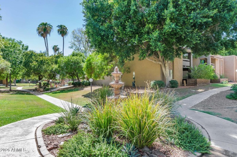 3825 E Camelback Rd-large-003-21-Communi