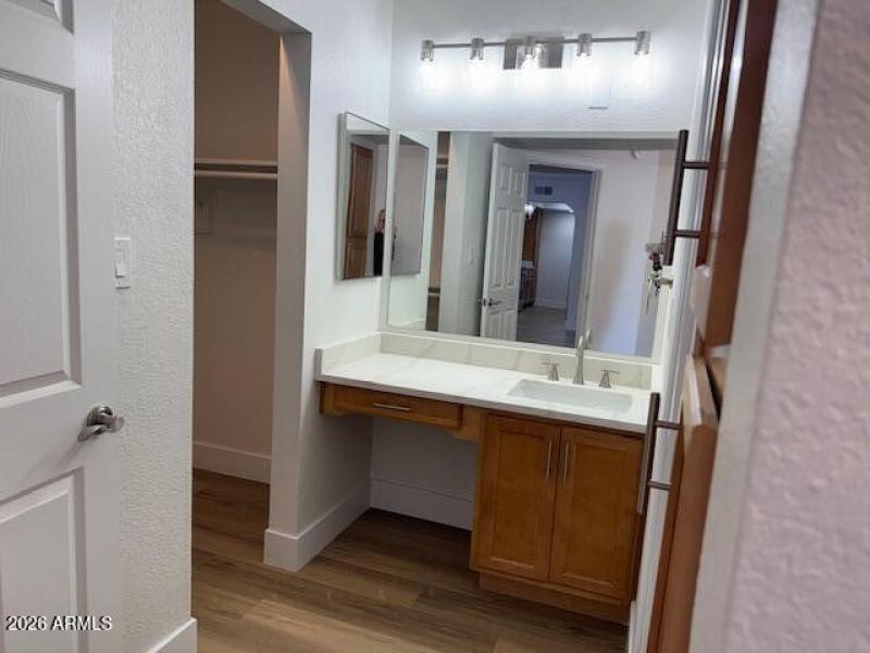Master sink and walkin closet