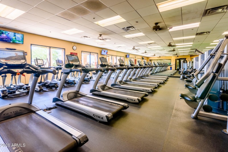 Province Community-Gillespie--14