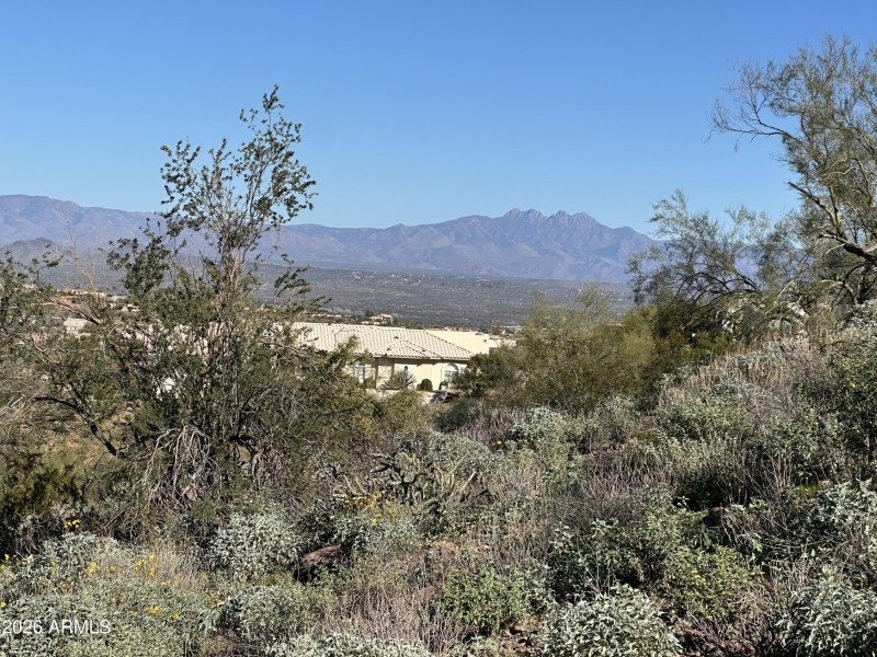 Four Peaks Views