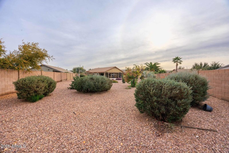 corner shot of backyard