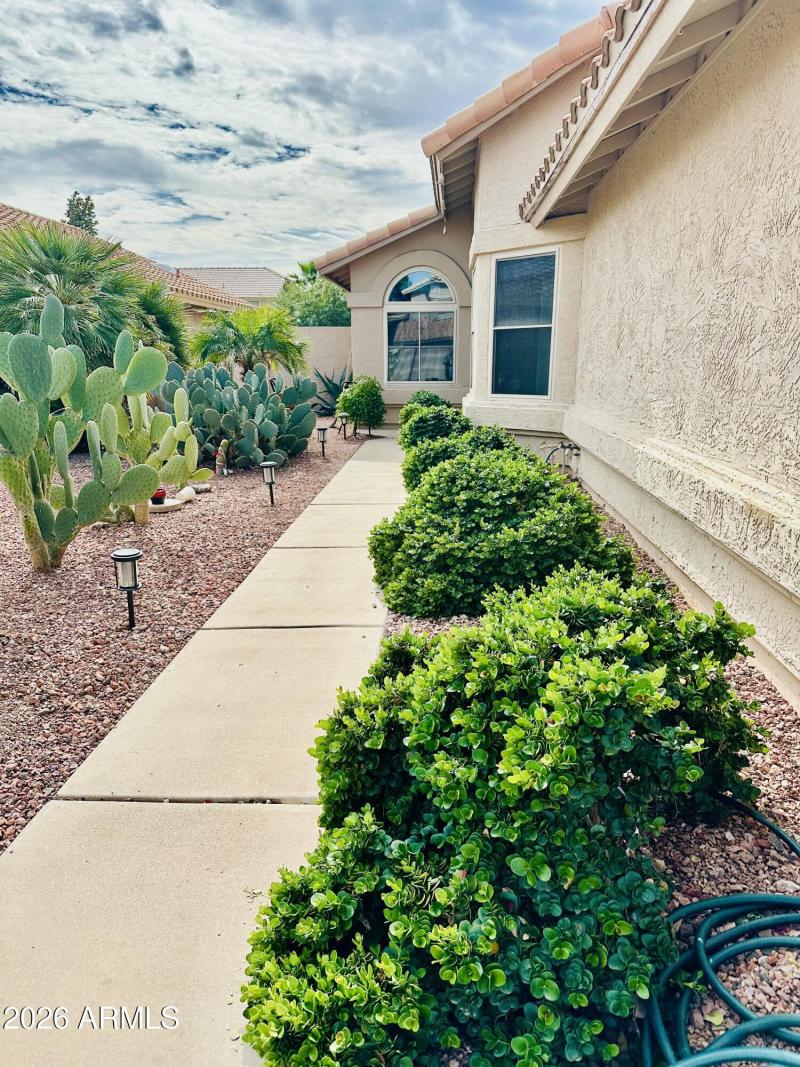 4349 E Chuckwalla Cyn