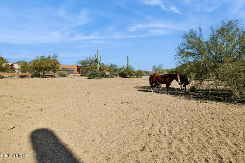 60-web-or-mls-39913-n-26th-st