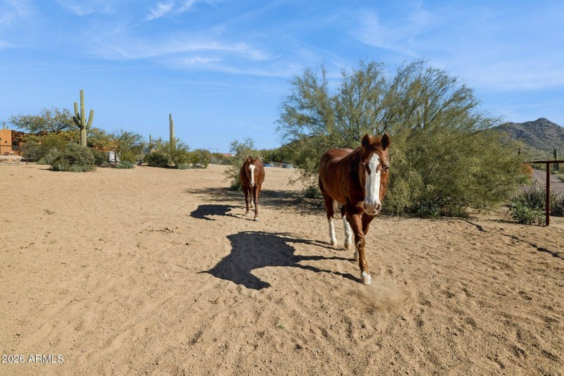 61-web-or-mls-39913-n-26th-st