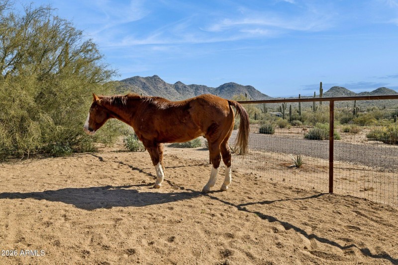 62-web-or-mls-39913-n-26th-st