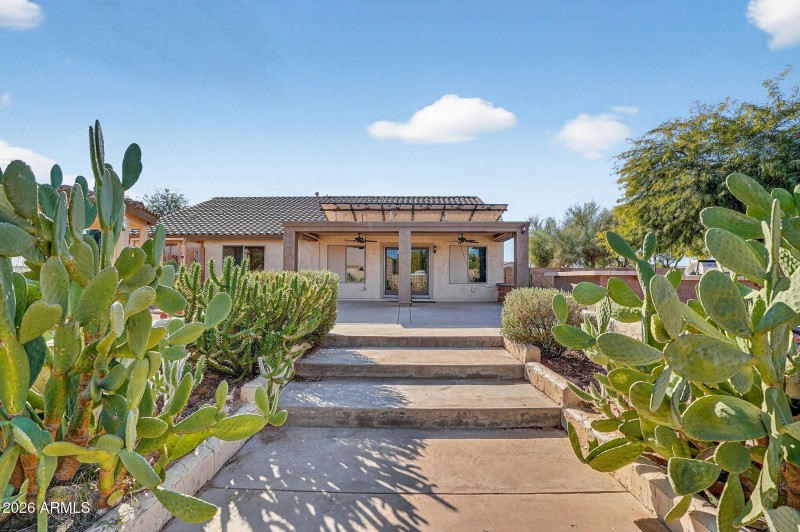 Backyard Steps to Covered Patio