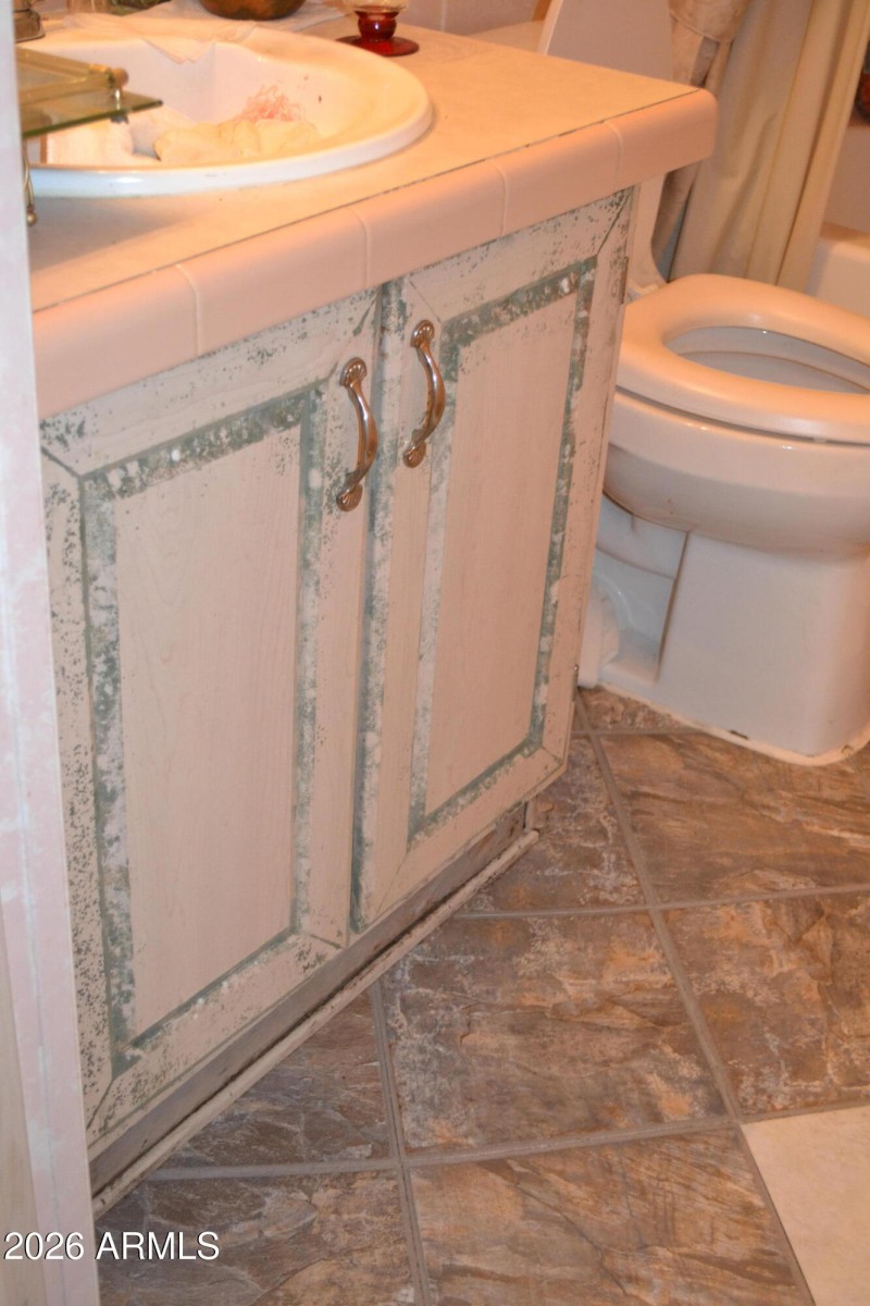 765 S Windy Hl, Roosevelt, AZ 85545_0012