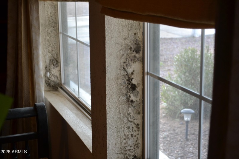 765 S Windy Hl, Roosevelt, AZ 85545_0033