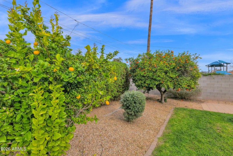 32-web-or-mls-P1460802