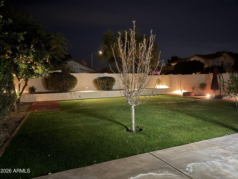 Nighttime Backyard/Pear Tree