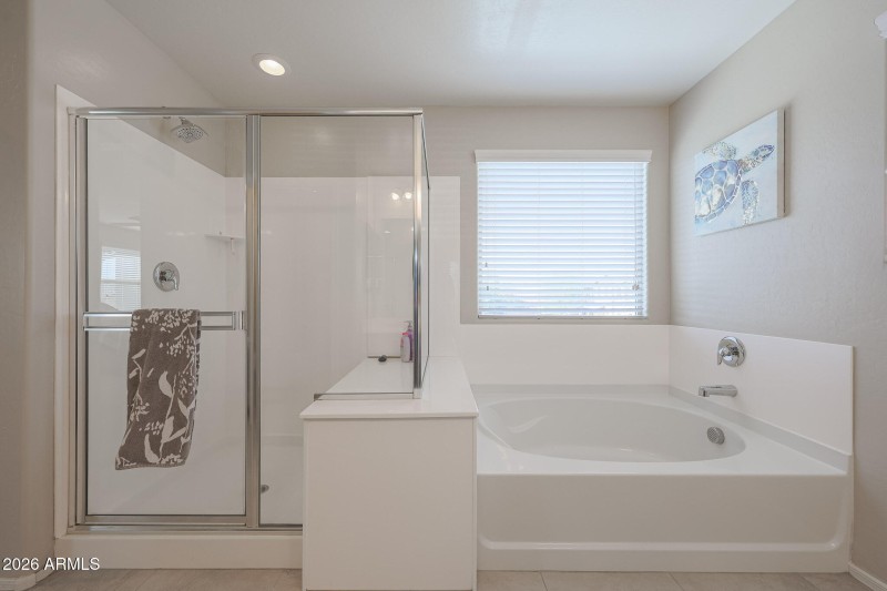 Separate Shower and Tub