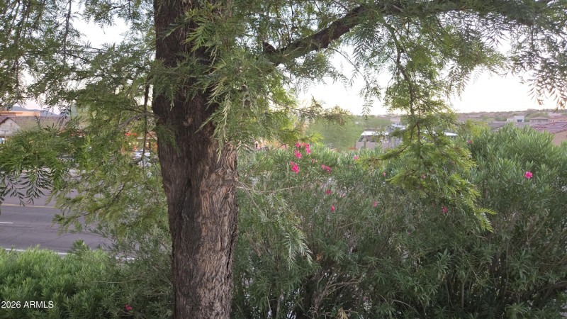 71) 60277-6902c6ad8f104