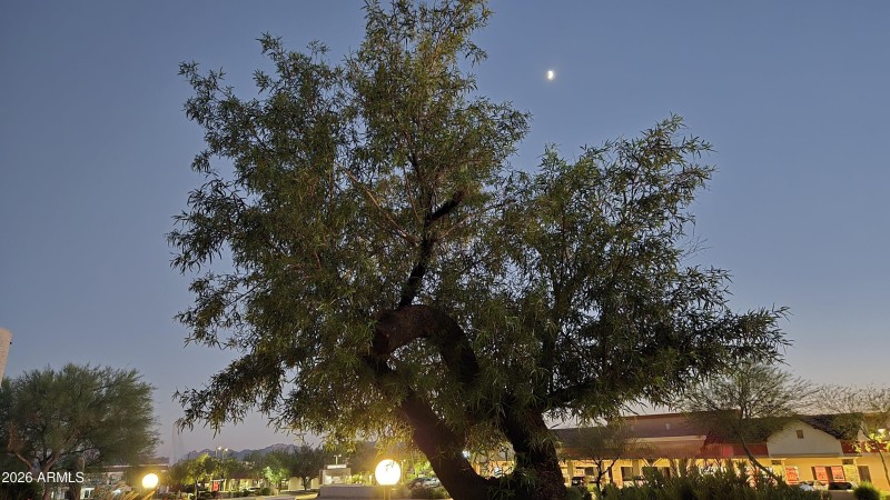 98) 60277-6902c6a7a9458