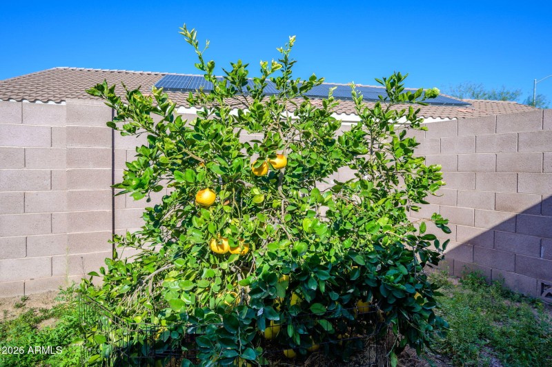 15-web-or-mls-160th-22