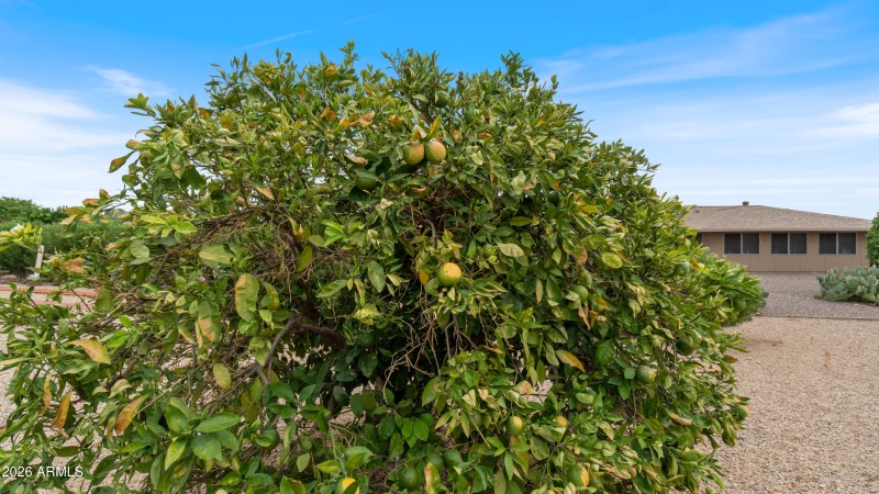 9635 W Appaloosa -21