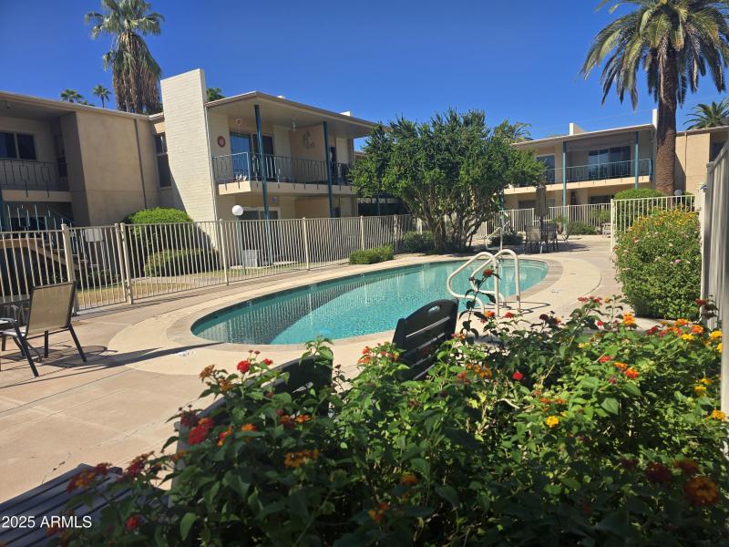 COMMUNITY POOL & SPA