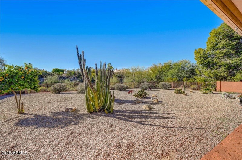 23-Spacious Backyard