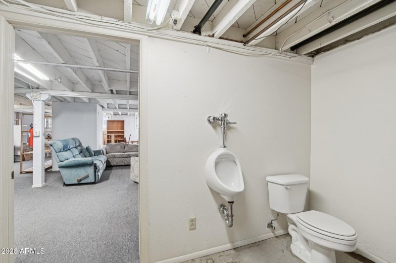Basement bathroom