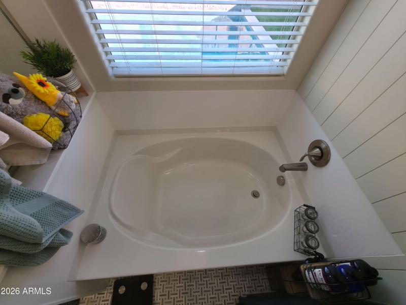 6e-Master_Bathroom_Tub