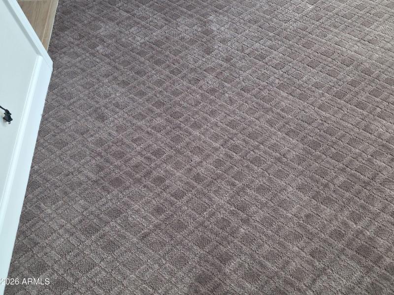Misc-Upgraded-Carpet