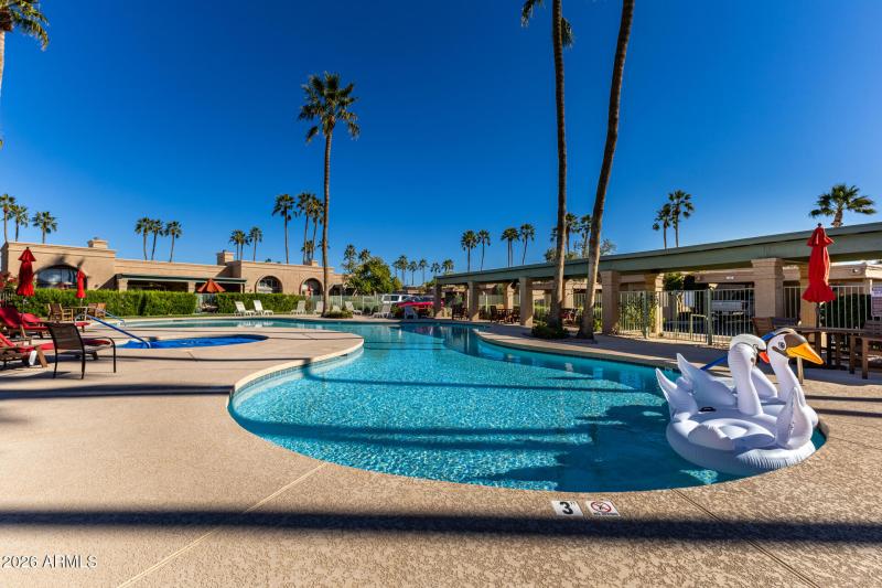 Beautiful Pool & Spa