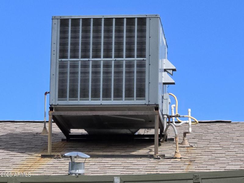 20260205_114410_resized