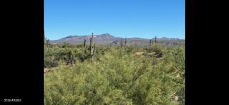 IMG_8925_1770328182984