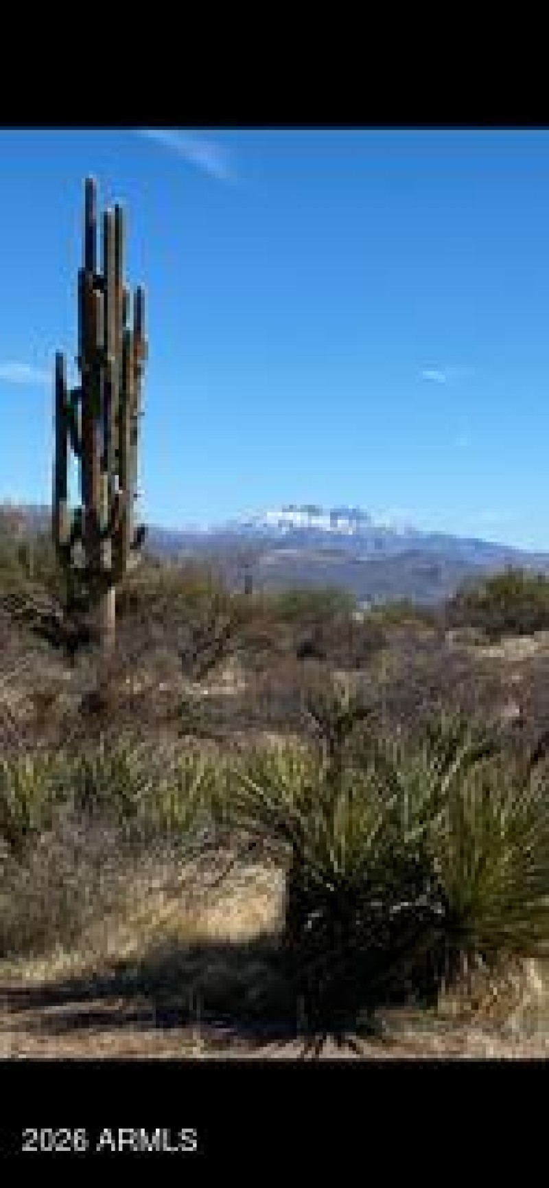 IMG_8931_1770328182939