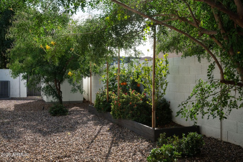 side yard w/ Planter