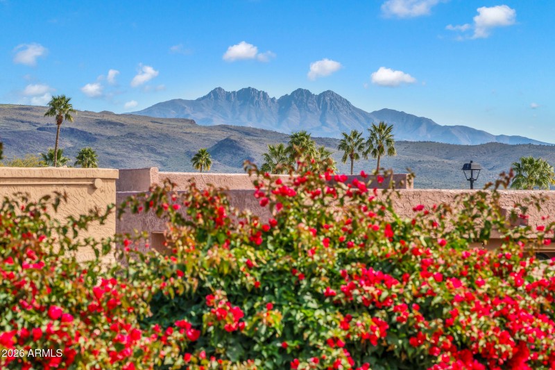 26229 E Marquis Ln-35_(2048)