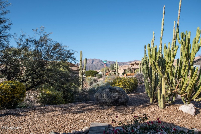 THANKS FOR VISITING...