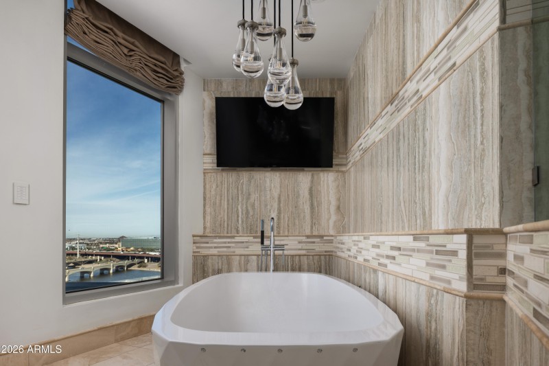 Primary Bathroom Tub with View