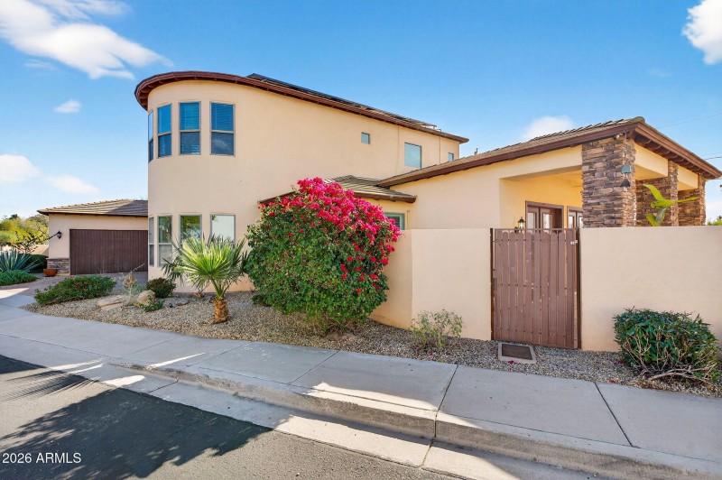 Desert Landscape & Stone Accents