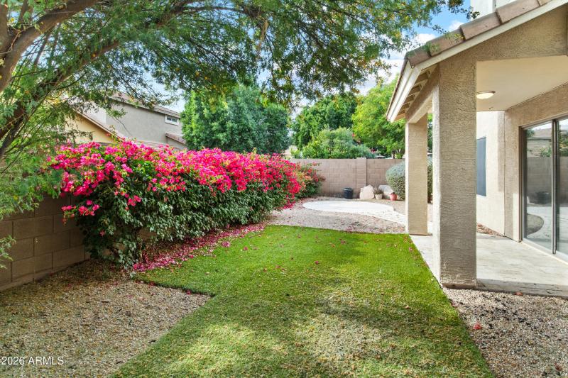 4051 E Melinda Ln-20