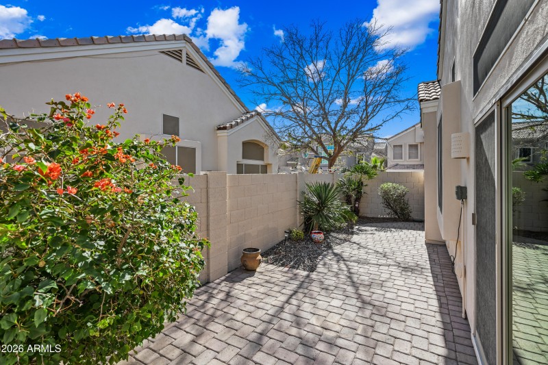 Low maintenance backyard