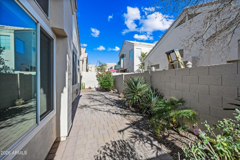 Low maintanence backyard